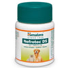 Himalaya Nefrotec Ds Vet Tablets | 60 Tabs | Pack of 2