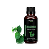 Seyal Eucalyptus Essential Oil - 30 ml