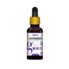 Glimlach 100% Pure and Natural Lavender Oil - 30 ml