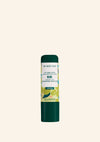 The Body Shop Olive Lip Care Stick - 4.2