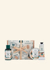 The Body Shop Nutty & Nourishing Shea Mini Gift - 1 Pc