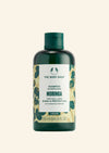 The Body Shop Moringa Shine & Protection Shampoo