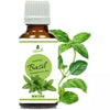 Oilcure Basil Oil - 30 ml
