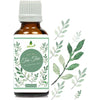 Oilcure Tea Tree Oil - 30 ml