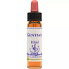 Healing Herbs Gentian