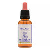 Healing Herbs Walnut - 30 ml