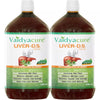 Vaidyacure Liver DS Syrup (2 Month Course) - 450 ml (Pack of 2)