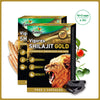 Zandu Vigorex Shilajit Gold Capsules - Pack of 2