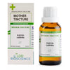 LDD Bioscience Kalmia Latifolia Mother Tincture Q