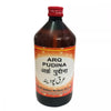 Dehlvi Ambar Arq Pudina - 500 ml