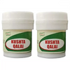 Dehlvi Kushta Qalai - 5 gms (Pack of 2)