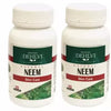 Dehlvi Ambar Neem Tablets - 60 Tabs (Pack of 2)