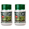 Dehlvi Gilo Capsules - 60 Caps (Pack of 2)