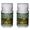 Dehlvi Gurmar Capsules - 60 Caps (Pack of 2)