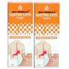 Indo German Gastro Care Syrup - 100 ml (Pack of 2)