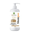 Chandigarh Ayurved Centre Hair Live Shampoo - 300 ml