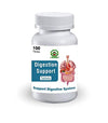 Chandigarh Ayurved Centre Digestion Support - 100 tabs