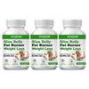 Ayudiva Herbals Slim Belly Fat Burner - 60 caps (Pack of 3)