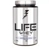 Divine Nutrition Life Whey (50 Servings) American Ice Cream - 1000 gms