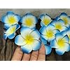 VRB Dec™ Artificial Big Foam Hawaaii Fake Foam Water Floating Flowers for Pooja Thali, Festival and Events, Home, Table, Badroom, Pooja Room, Diwali Decoration Items and DIY Craft (Blue, 12)