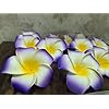 VRB Dec™ Artificial Big Foam Hawaaii Fake Foam Water Floating Flowers for Pooja Thali, Festival and Events, Home, Table, Badroom, Pooja Room, Diwali Decoration Items and DIY Craft (Purple, 12)