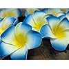 VRB Dec™ Artificial Big Foam Hawaaii Fake Foam Water Floating Flowers for Pooja Thali, Festival and Events, Home, Table, Badroom, Pooja Room, Diwali Decoration Items and DIY Craft (Blue, 12)