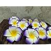 VRB Dec™ Artificial Big Foam Hawaaii Fake Foam Water Floating Flowers for Pooja Thali, Festival and Events, Home, Table, Badroom, Pooja Room, Diwali Decoration Items and DIY Craft (Purple, 12)