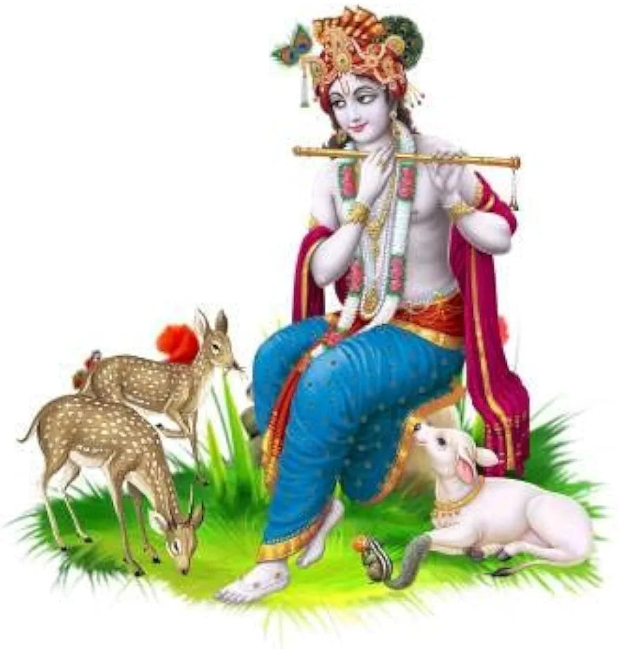 Rangoli Vinyl Wall Sticker Multicolour Vinyl Medium Size 40cm or 50 cm Pack of 1 Sticker,