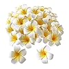 VRB Dec™ 12Pcs Artificial Big Foam Hawaaii Fake Foam Water Floating Flowers for Pooja Thali, Festival and Events, Home, Table, Badroom, Pooja Room, Diwali Decoration Items and DIY Craft (White, 12)