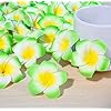 VRB Dec Artificial Big Foam Hawaaii Fake Foam Water Floating Flowers for Pooja Thali, Festival and Events, Home, Table, Badroom, Pooja Room, Diwali Decoration Items and DIY Craft (Green, 12)