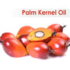 Crysalis Palm Kernel (Elaeis Guineensis) Oil - 100 ml