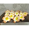 VRB Dec™ Artificial Big Foam Hawaaii Fake Foam Water Floating Flowers for Pooja Thali, Festival and Events, Home, Table, Badroom, Pooja Room, Diwali Decoration Items and DIY Craft (Orange, 12)