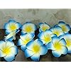 VRB Dec™ Artificial Big Foam Hawaaii Fake Foam Water Floating Flowers for Pooja Thali, Festival and Events, Home, Table, Badroom, Pooja Room, Diwali Decoration Items and DIY Craft (Blue, 12)