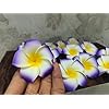 VRB Dec™ Artificial Big Foam Hawaaii Fake Foam Water Floating Flowers for Pooja Thali, Festival and Events, Home, Table, Badroom, Pooja Room, Diwali Decoration Items and DIY Craft (Purple, 12)