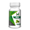 H&C Herbal Amla Capsules 450mg - 120 Capsules