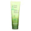 Giovanni Organic 2Chic Olive Oil & Avocado Ultra-Moist Shampoo - 250 ml