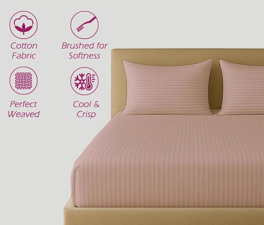 Trance Home Linen 100% Cotton 78x60 inch Queen Fitted 200TC Satin Stripe Elastic Fitted Bedsheet | Daily Use Double Bed Fitted Bedspread with 2 Pillow Covers 