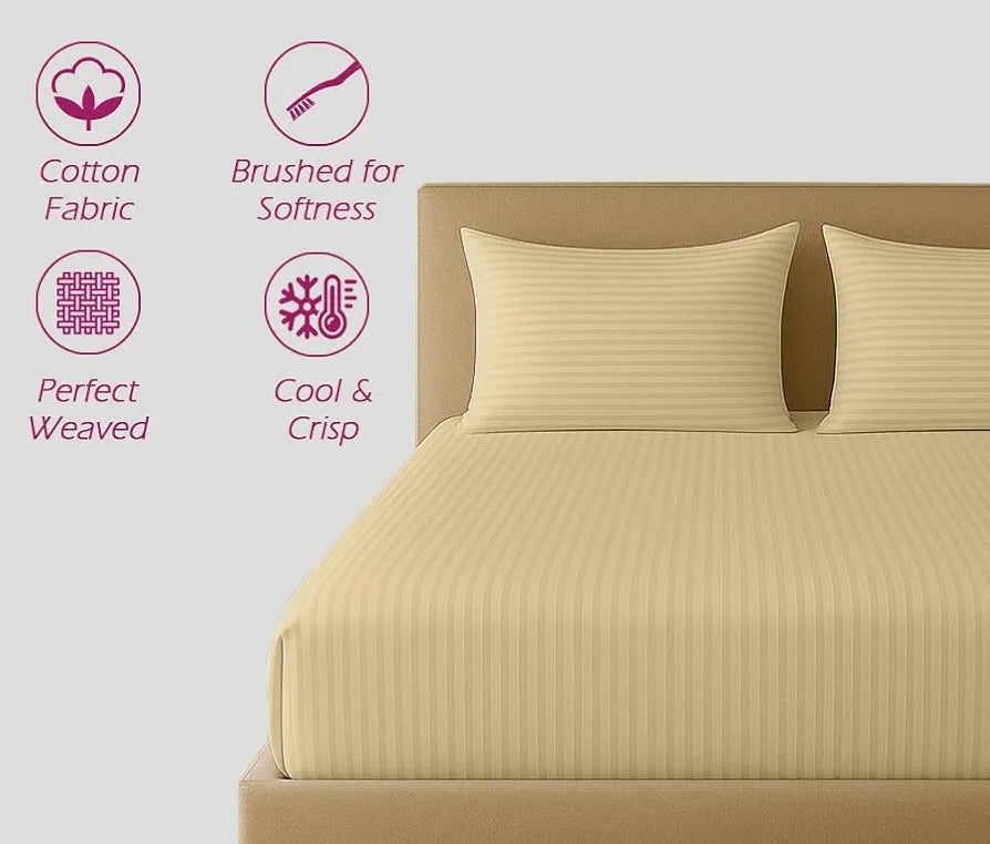 Trance Home Linen 100% Cotton 75x60 inch 200TC Satin Stripe Elastic Fitted Bedsheet | Daily Use Double Bed Fitted Bedspread with 2 Pillow Covers 