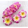 VRB Dec™ Artificial Big Foam Hawaaii Fake Foam Water Floating Flowers for Pooja Thali, Festival and Events, Home, Table, Badroom, Pooja Room, Diwali Decoration Items and DIY Craft (Pink, 12)