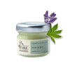 Bare Necessities Hydrating Hemp Lip Balm - 20 gms
