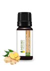 Indo Bio Organics Ginger Essential Oil - 15 ml