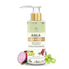TNW-The Natural Wash Amla Shampoo - 200 ml