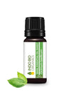 Indo Bio Organics Basil Essential Oil - 15 ml