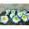 VRB Dec™ Artificial Big Foam Hawaaii Fake Foam Water Floating Flowers for Pooja Thali, Festival and Events, Home, Table, Badroom, Pooja Room, Diwali Decoration Items and DIY Craft (Blue, 12)