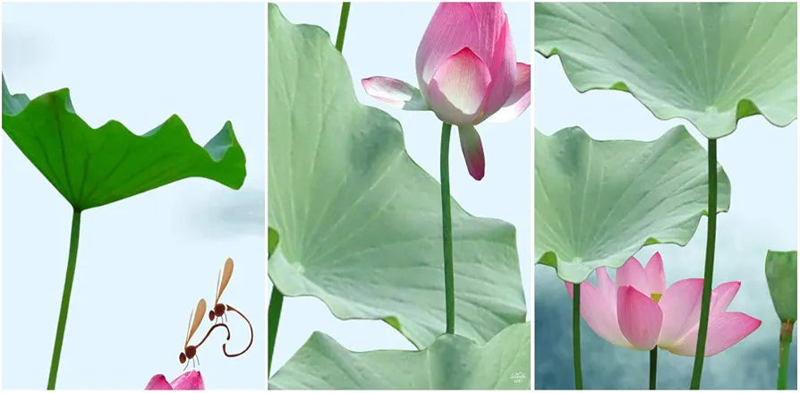 Rangoli MDF 3 Pcs Wall Poster 12x18 Inch Decorative Wall Art for Home, Office, Living Room. P-4, Design-5