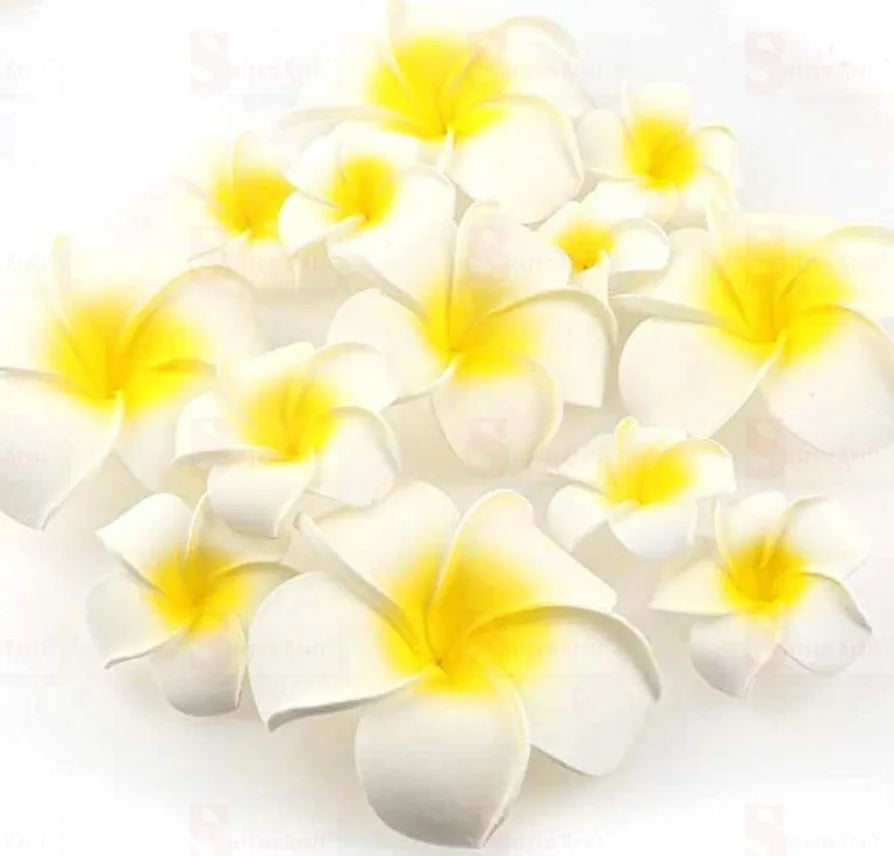 SATYAM KRAFT 12 Pcs Artificial Big Foam Hawaii Water Floating Flowers for Pooja Thali, Home Decor, Table, Badroom, Navratri, Diwali, Mandir, Pooja Room Decor, Festival Events Decoration, DIY Craft