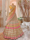 Odette Multicolored Net Sequence Semi-Stitched Lehenga Choli (Set of 3)