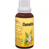 Bio India Bach Flower Clematis