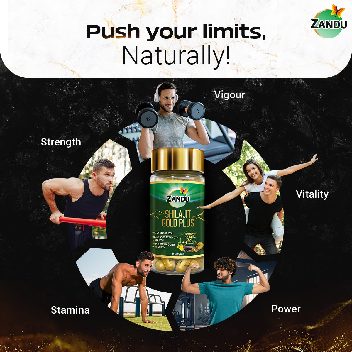 Zandu Shilajit Gold Plus Capsule