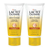 Lacto Calamine Ubtan Face Wash - 100 ml  (Pack of 2)